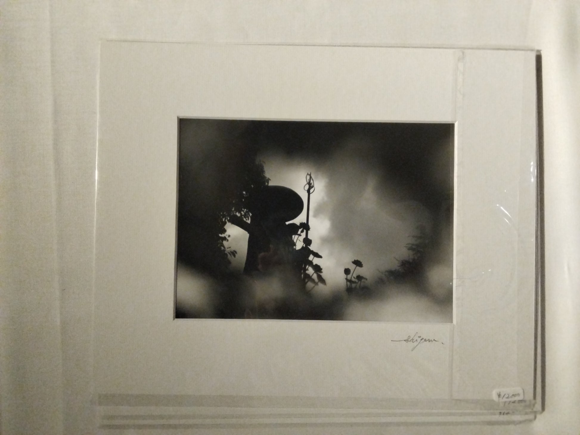 名無し（日本、2017年）